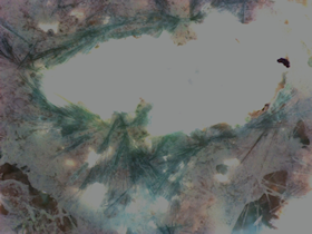 Crystal growth (magnified) captured on the microscopy unit using a colour, industrial-grade CCD camera.
